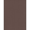 Canson Mi-Teintes Tinted Paper Sepia 19 In. X 25 In. [Pack Of 10]