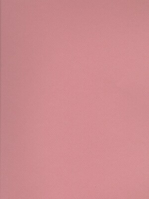 Canson Mi-Teintes Tinted Paper Orchid 19 In. X 25 In. [Pack Of 10]