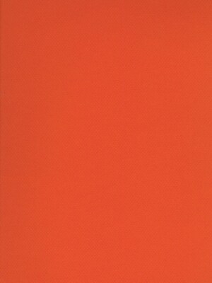 Canson Mi-Teintes Tinted Paper Orange 19 In. X 25 In. [Pack Of 10]