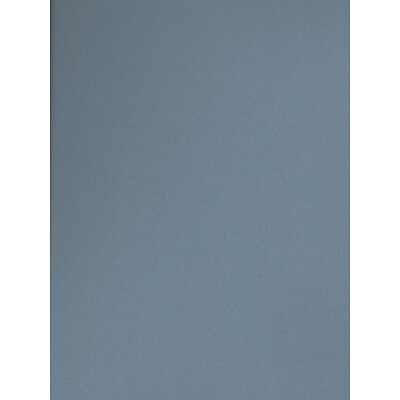 Canson Mi-Teintes Tinted Paper Light Blue 19 In. X 25 In. [Pack Of 10]