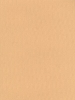 Canson Mi-Teintes Tinted Paper Green 8.5 In. X 11 In. [Pack Of 25]