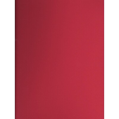 Canson Mi-Teintes Tinted Paper Red 19 In. X 25 In. [Pack Of 10]