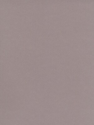 Canson Mi-Teintes Tinted Paper Flannel Grey 19 In. X 25 In. [Pack Of 10]