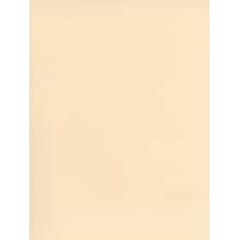Canson Mi-Teintes Tinted Paper Ivory 19 In. X 25 In. [Pack Of 10]