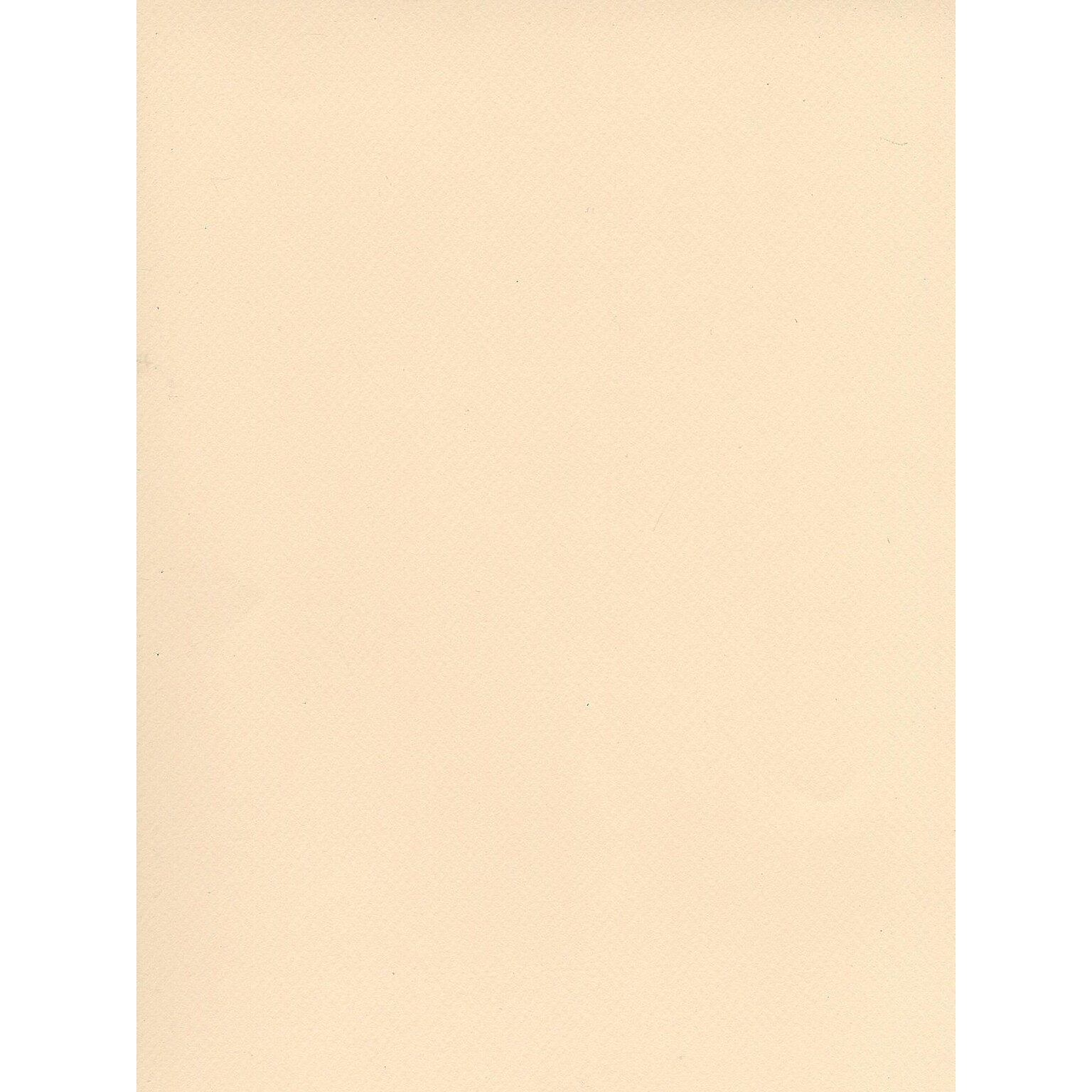 Canson Mi-Teintes Tinted Paper Ivory 19 In. X 25 In. [Pack Of 10]