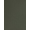 Canson Mi-Teintes Tinted Paper Ivy 19 In. X 25 In. [Pack Of 10]