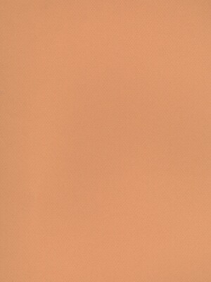 Canson Mi-Teintes Tinted Paper Hemp 19 In. X 25 In. [Pack Of 10]