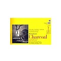 Strathmore 300 Series Charcoal Paper Pads 11 In. X 17 In. 32 Sheets [Pack Of 2]