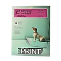 Chartpak BestPrint Presentation Media for Laser Printers and Copiers, Matte, 10 sheets (64116)