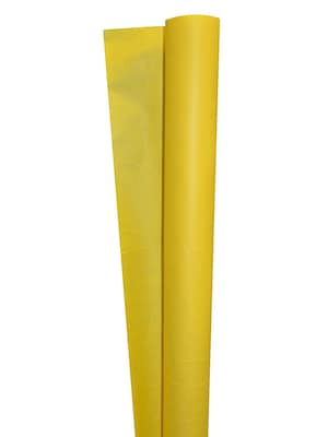 Bemiss Jason Spectra Art Kraft Paper Roll Canary