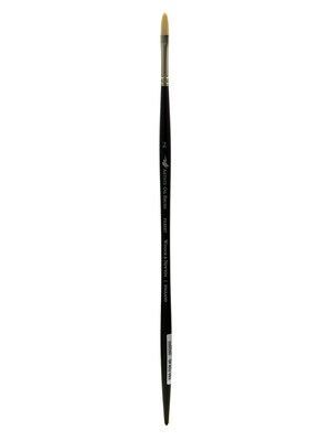 Winsor And Newton Artists Oil Brushes 2 Filbert