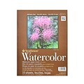 Strathmore 400 Series Watercolor Pad 9 In. X 12 In. Block Of 15 [Pack Of 2]