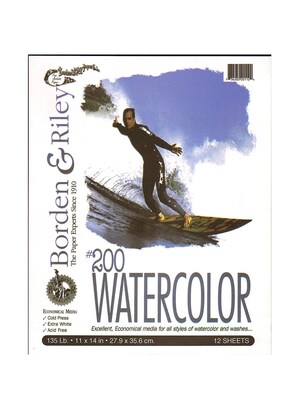 Borden And Riley #200 Studio Watercolor Pads, 11 X 14, 12 Sheets, 2/Pack (52468-Pk2)