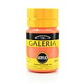 Winsor & Newton Galeria Flow Formula Acrylic Colors, Cadmium Orange Hue No 90, 250Ml, 2Pk (65710Pk2)