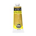 Winsor And Newton Galeria Flow Formula Acrylic Colors Gold 60 Ml 283 Pack Of 3 (69773-Pk3)