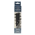 Winsor and Newton Artists Charcoal, Willow, Thick, 2/Box, 2/Pack