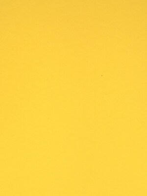 Canson Colorline 19In X 25In Canary Yellow 300 Gsm Heavyweight Paper Sheets, 10/Pack (60436-Pk10)