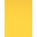 Canson Colorline 19In X 25In Canary Yellow 300 Gsm Heavyweight Paper Sheets, 10/Pack (60436-Pk10)