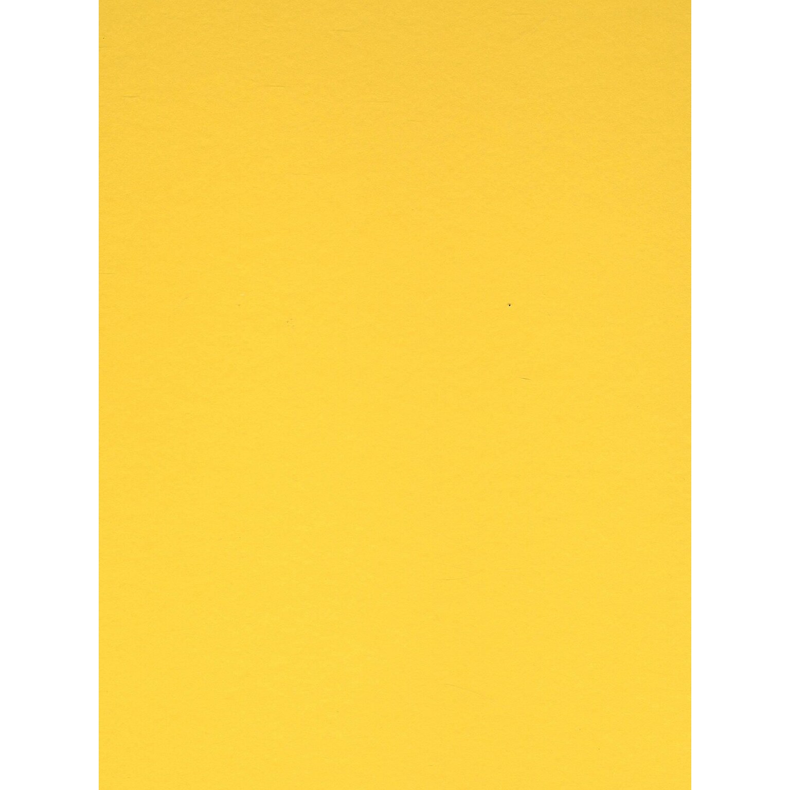 Canson Colorline 19In X 25In Canary Yellow 300 Gsm Heavyweight Paper Sheets, 10/Pack (60436-Pk10)