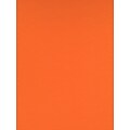 Canson Colorline 19In X 25In Clementine 300 Gsm Heavyweight Paper Sheets, 10/Pack (60441-Pk10)