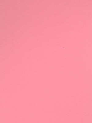 Canson Colorline Heavyweight Paper Sheets 19 X 25 Rose Petal 300 Gsm Pack Of 10 (60444-Pk10)