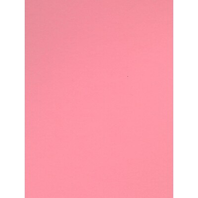 Canson Colorline Heavyweight Paper Sheets 19 X 25 Rose Petal 300 Gsm Pack Of 10 (60444-Pk10)