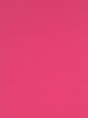 Canson Colorline Heavyweight Paper Sheets, Fuchsia, 300Gsm, 19 X 25, 10/Pack (60445-Pk10)