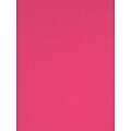 Canson Colorline Heavyweight Paper Sheets, Fuchsia, 300Gsm, 19 X 25, 10/Pack (60445-Pk10)