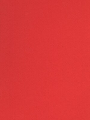 Canson Colorline 19In X 25In Tomato 300 Gsm Heavyweight Paper Sheets, 10/Pack (60557-Pk10)