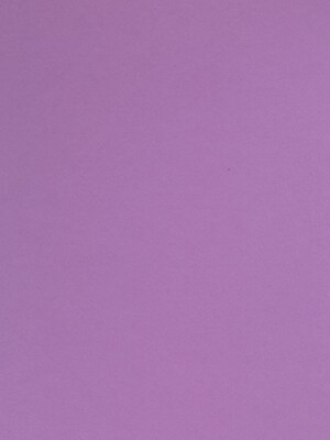 Canson Colorline Heavyweight Paper Sheets, Lilac, 300Gsm, 19 X 25, 10/Pack (60450-Pk10)