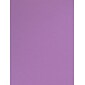 Canson Colorline Heavyweight Paper Sheets, Lilac, 300Gsm, 19" X 25", 10/Pack (60450-Pk10)