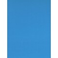 Canson Colorline Heavyweight Paper Sheets 19 X 25 Primary Blue 300 Gsm Pack Of 10 (60455-Pk10)