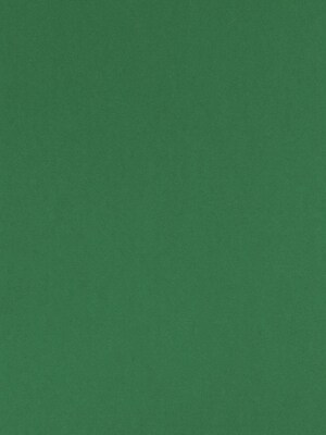 Canson Colorline 19In X 25In Moss Green 300 Gsm Heavyweight Paper Sheets, 10/Pack (60461-Pk10)