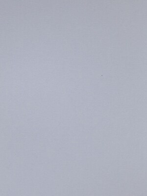 Canson Colorline 19In X 25In Light Gray 300 Gsm Heavyweight Paper Sheets, 10/Pack (60464-Pk10)