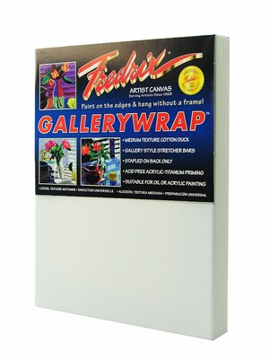 Fredrix Gallerywrap Stretched Canvas 8 In. X 10 In. Each