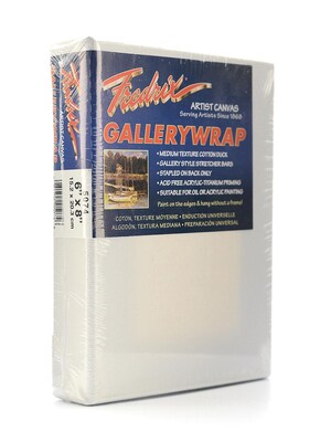 Fredrix Gallerywrap Stretched Canvas 6 In. X 8 In. Each