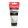 Amsterdam Expert Acrylic Tubes Zinc White 75 Ml [Pack Of 3]