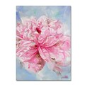 Trademark Fine Art Li Bo Pink Peonie II 14 x 19 (ALI0757-C1419GG)