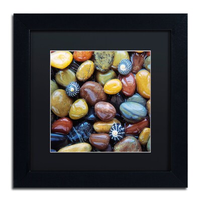 Trademark Fine Art David Evans Shells & Pebbles 11 x 11 (DE0118-B1111BMF)