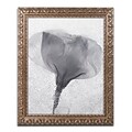 Trademark Global Moises Levy Flowers on Ice BW-2 16 x 20 Ornate Framed Art (ALI0732-G1620F)