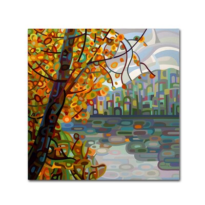 Trademark Fine Art Mandy Budan Reflections 14 x 14 (ALI0930-C1414GG)