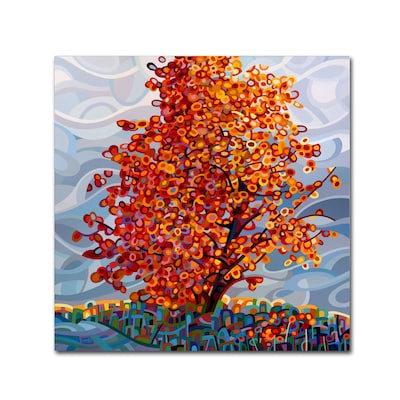Trademark Fine Art Mandy Budan Stormlight 14 x 14 (ALI0933-C1414GG)