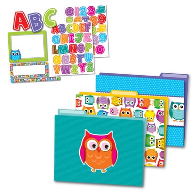 Carson-Dellosa Colorful Owls Multi-Color Organization Set (144927)
