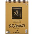 Canson XL Recycled Drawing Paper Pad, 9 x 12, White (702-2430)
