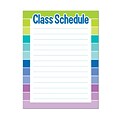 17 x 22 Class Schedule Chart (Paint); Multicolor (CTP1128)
