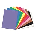 SunWorks® Construction Paper, 9 x 12, Assorted Colors, 100 Sheets (PAC6504)