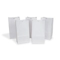 Rainbow Kraft Bag, White, 6 x 3-5/8 x 11, 50 Bags (PAC72005)