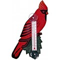 Songbird Essentials Cardinal on Branch Large Window Thermometer
