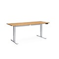 OFM Versa Series 60 Electric Height Adjustable Table, Amber (HAT-3060-PLN-AMB)