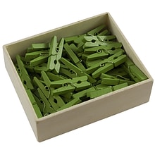 JAM Paper Wood Clip Medium Wood Clothespins, Green, 50/Pack (230729147)
